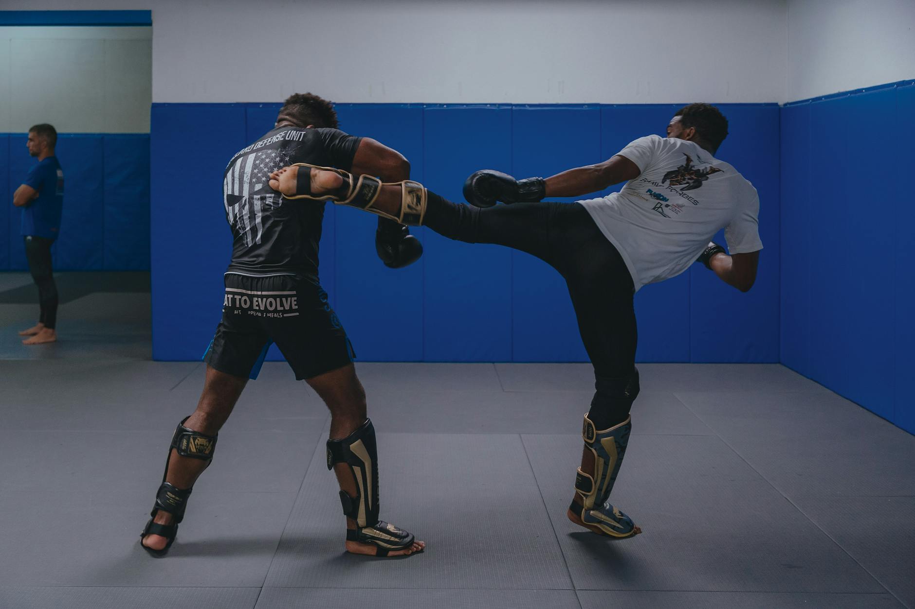 Is Taekwondo A Mixed Martial Art?
