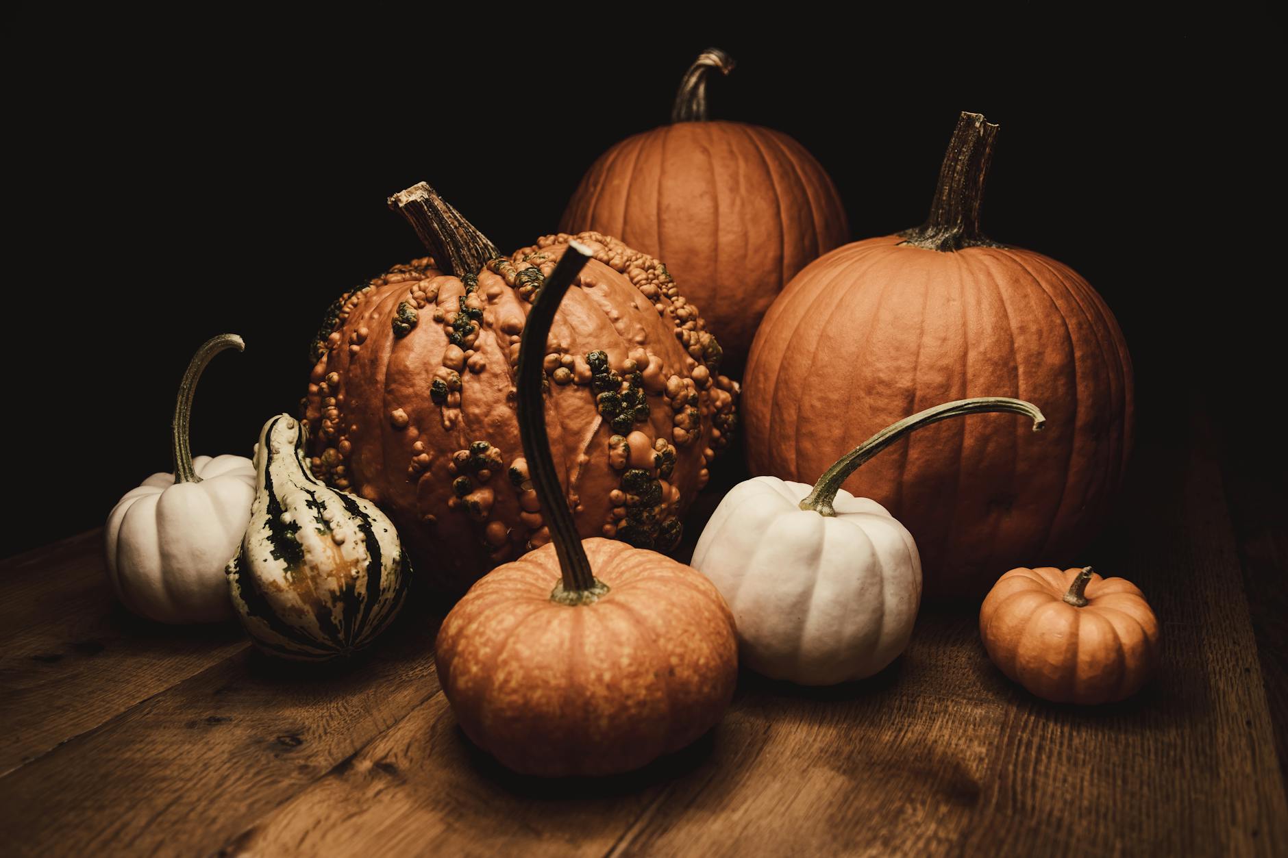 A Thanksgiving Rambling About Taekwondo!